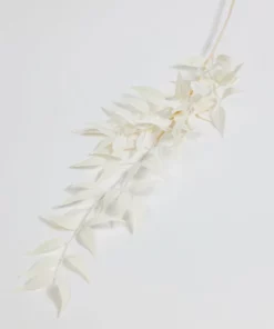 Inspire Me! Home Decor 36" Italian Ruscus Leaf Stem