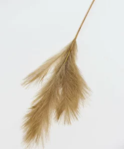 Inspire Me! Home Decor Light Feathered Pampa Grass Stem (4 Colors) Floral Stems