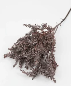 Inspire Me! Home Decor Faux Dried Blush Tones Grass Stem (2 Colors)