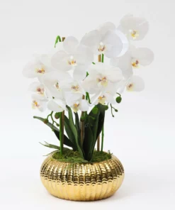 Inspire Me! Home Decor White Potted Faux Orchid Floral Stems
