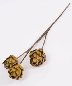 Inspire Me! Home Decor Dried Green Artichoke Stem