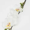 Inspire Me! Home Decor Real Touch Orchid Stem