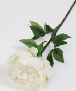 Inspire Me! Home Decor Cream Real Touch Peony Stem