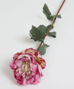 Inspire Me! Home Decor 30" Two Toned Pink/Cream Peony Stem