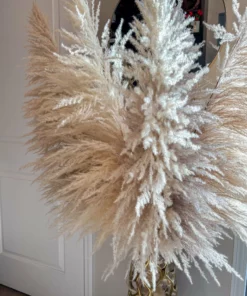 Inspire Me! Home Decor Natural Pampas Grass