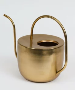 Inspire Me! Home Decor Gold Watering Can
