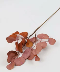 Inspire Me! Home Decor Floral Stems Beige Pink Flat Eucalyptus Stem