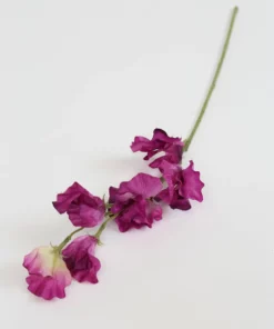 Inspire Me! Home Decor Sweet Pea Stem (4 Colors)