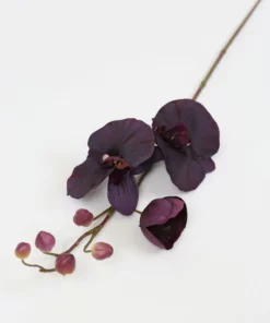 Inspire Me! Home Decor Deep Purple Phalaenopsis Orchid Stem