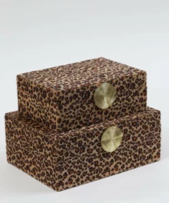 Inspire Me! Home Decor Leopard Print Boxes With Gold Medallion (Set Of 2)