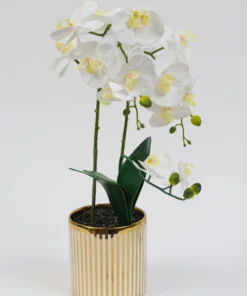Inspire Me! Home Decor White Potted Faux Orchid In Gold And White Vase