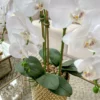 Inspire Me! Home Decor Golden Pebble Stone Vase Filler