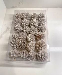 Inspire Me! Home Decor White Decorative Pinecones Box