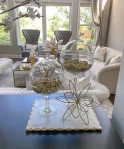 Inspire Me! Home Decor Glass Stem Jar (2 Sizes)