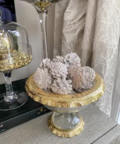 Inspire Me! Home Decor White Decorative Pinecones Box