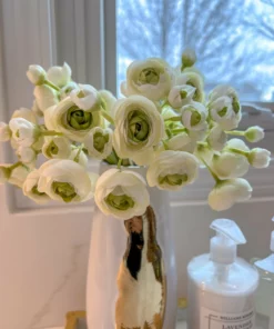 Inspire Me! Home Decor Mini Cream Ranunculus Bundle