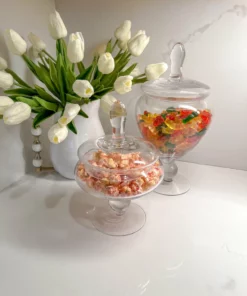 Inspire Me! Home Decor Glass Apothecary Jar With Lid (2 Sizes) Jars